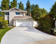 41 Songsparrow, Irvine image
