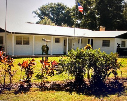 3741 Grice Street, Apopka