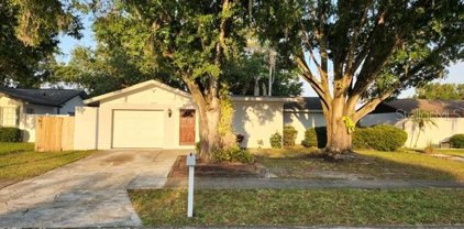 14509 Sutter Place, Tampa