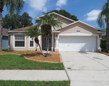 9015 Egret Cove Circle, Riverview