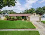 2574 Redwood Way, Clearwater image