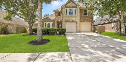 18419 S Roaring River Court, Humble