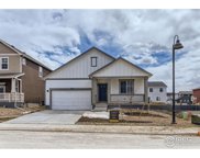 2428 Cottongrass Ave, Loveland image
