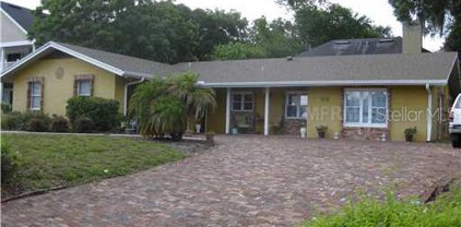 1131 Briercliff Drive, Orlando