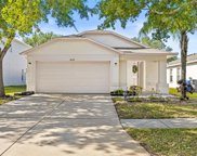 8029 Carriage Pointe Drive, Gibsonton image