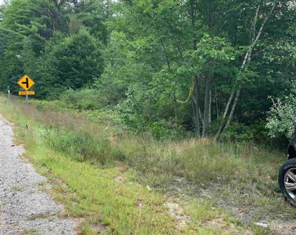 Laconia Road, Belmont