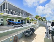 173 Coral, Tavernier image