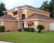 29425 Birds Eye Drive, Wesley Chapel image