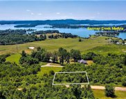 Lot 39 Logan's Bluff, Bean Station image