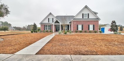 1300 Whooping Crane Dr., Conway