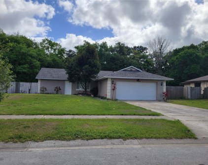 1713 Martinsville Court, Orlando