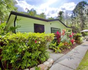 17530 Darby Lane, Lutz image