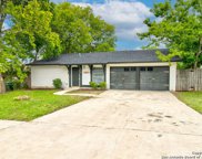 11309 Champion Oak, Live Oak image