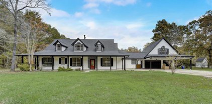 10902 Sea Mist, Magnolia