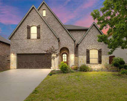 7009 Brook Forest  Circle, Plano
