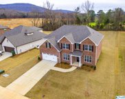 7114 Hickory Cove Way, Gurley image