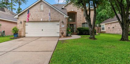 20319 Water Point Trail, Humble