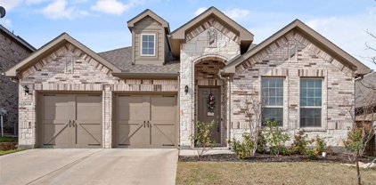 6116 Saddle Pack  Drive, Fort Worth