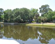 Hilton Head Island image