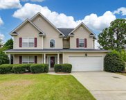 113 Red Cedar Court, Lexington image