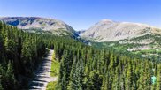582 Kimmes  Lane, Breckenridge image