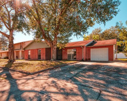 12514 Brucie Place, Tampa