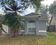 11201 Bramblebrush Street, Tampa image