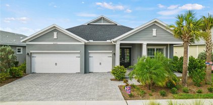 42263 Saddleback Trail, Babcock Ranch