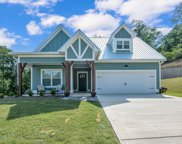 2052 Adams Ridge Drive, Chelsea image
