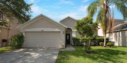 11451 Dutch Iris Drive, Riverview