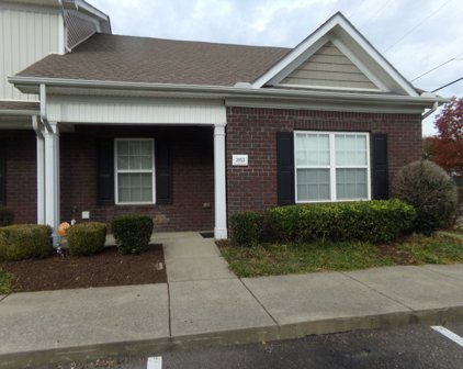 2053 George Buchanan Dr, La Vergne