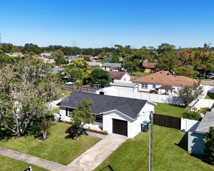 3925 Bryston Drive, Orlando