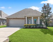10064 Cesson  Court, Madisonville image