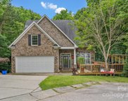 25078 Woodhaven  Drive, Tega Cay image