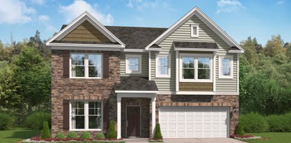 222 BLACK OAK Drive, Harlem