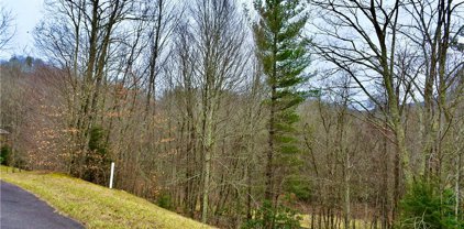 Lot 12 Trillium Lane, Linville