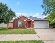 209 Shadow Grass  Avenue, Fort Worth image