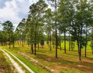 1626-07 Sumter Highway Unit #Lot 7, Rembert image