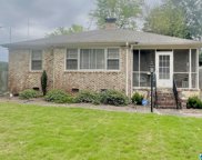 16 Ventura Avenue, Homewood image