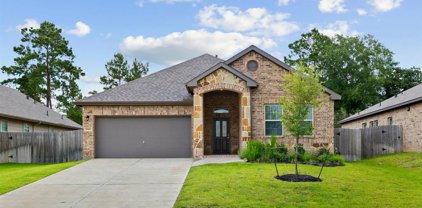 30413 Butternut Oak Lane, Magnolia