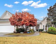51261 Daffodil  Court, Indian Land image