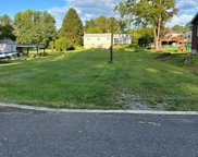 Willow, Walnutport image