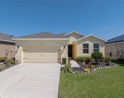 31457 Tansy Bend, Wesley Chapel image