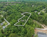 000 Briarwood  Circle, Fort Mill image