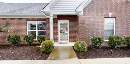 7126 Fernvale Springs Way, Fairview