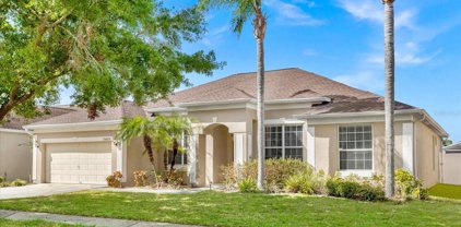 13425 Old Dock Road, Orlando