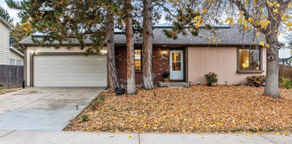 10731 Birch Court, Thornton