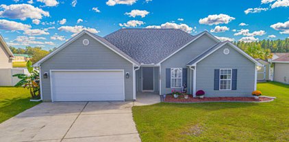 208 Hickory Springs Ct., Conway