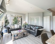 290 Francis Way Unit 303, New Westminster image
