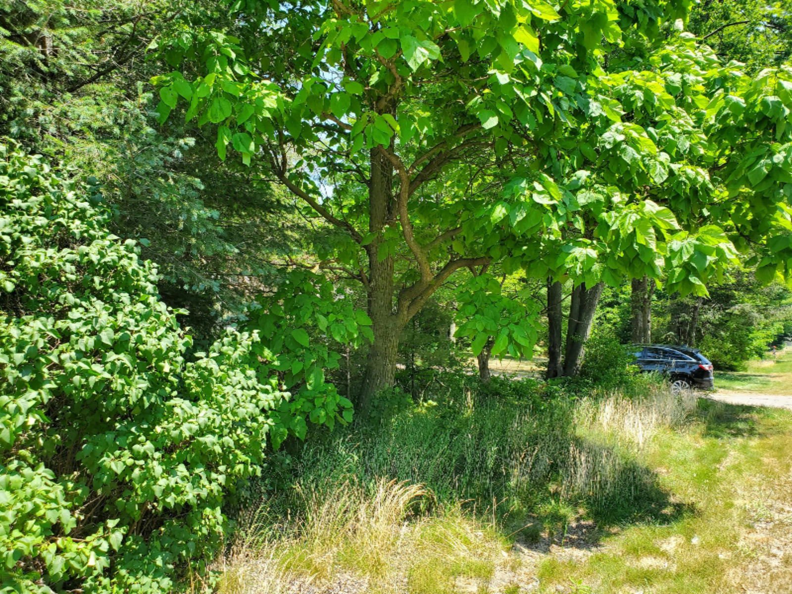 2052 E Sternberg Road, Muskegon, 49444